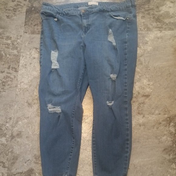 Molly Isadora  Womens  Distressed  Mid Rise Dark Wash Stretch  Jeans Size 22 - Picture 1 of 9